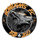 Howligans FC