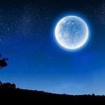 BLUE MOON