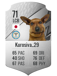 Kurosiva_29の選手カード