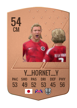 Player of Y__HORNET__Y