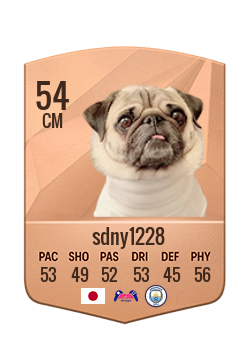 Card of sdny1228
