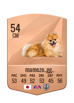 Player of mamezo_gg_