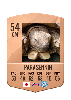 Player of PARASENNIN
