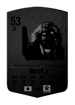 MarsK_gの選手カード