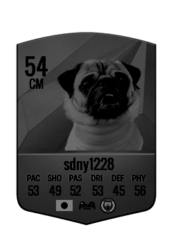 sdny1228の選手カード